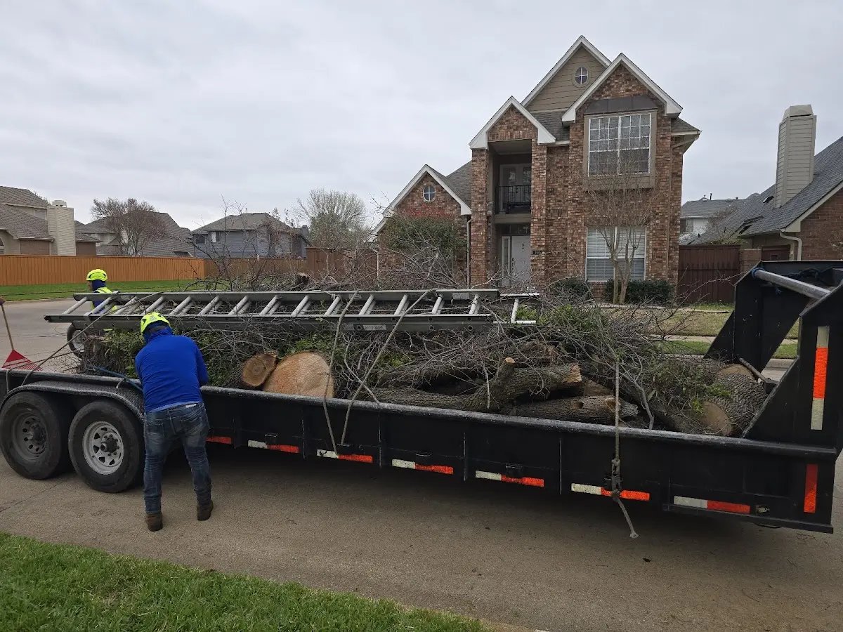 Expert Lot Clearing with proper safety equipment in Neches